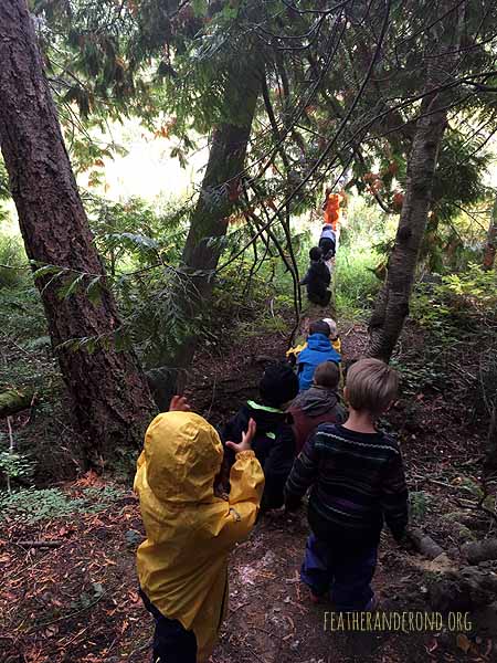 Adventures at Magic Cattail Land!