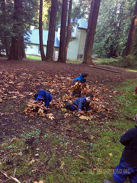 Gathering the leaves...