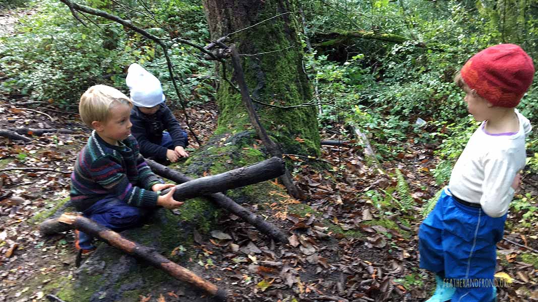Nature seesaw