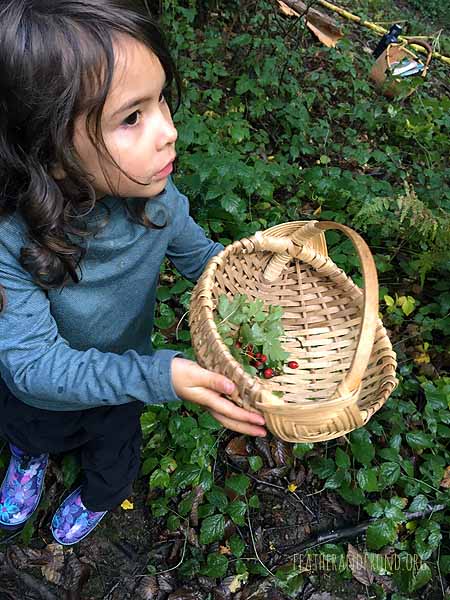 Hawthorn berries for sale!