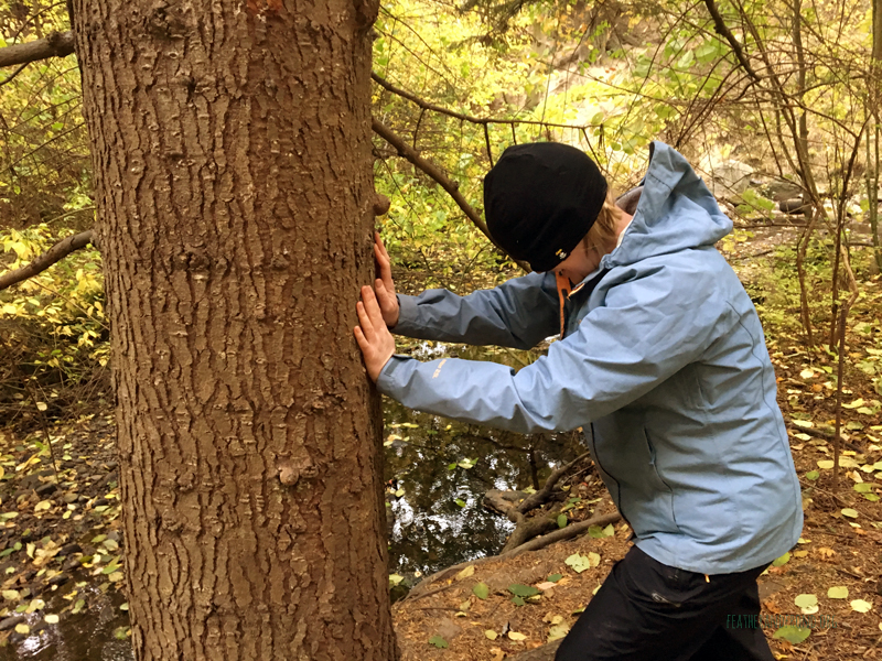 FoxWalkers-2019-Week6+7-Fairhaven-04.jpg