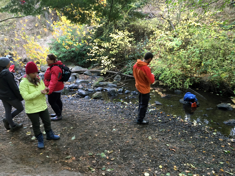 FoxWalkers-2019-Week6+7-Fairhaven-10.jpg