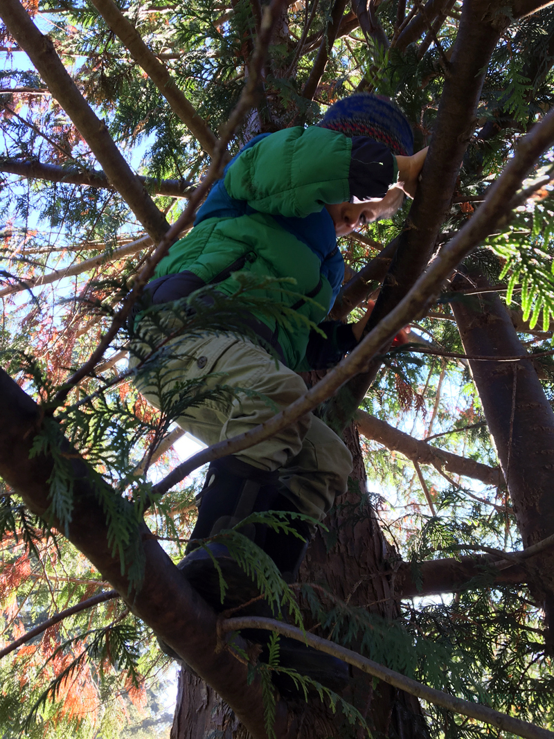 FoxWalkers-2019-Week6+7-Fairhaven-21.jpg
