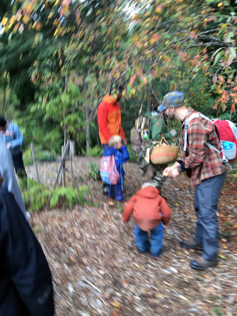 FoxWalkers-2019-Week6+7-Fairhaven-57.jpg
