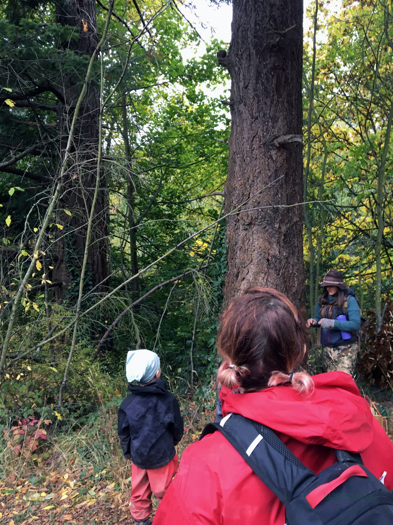 FoxWalkers-2019-Week6+7-Fairhaven-65.jpg