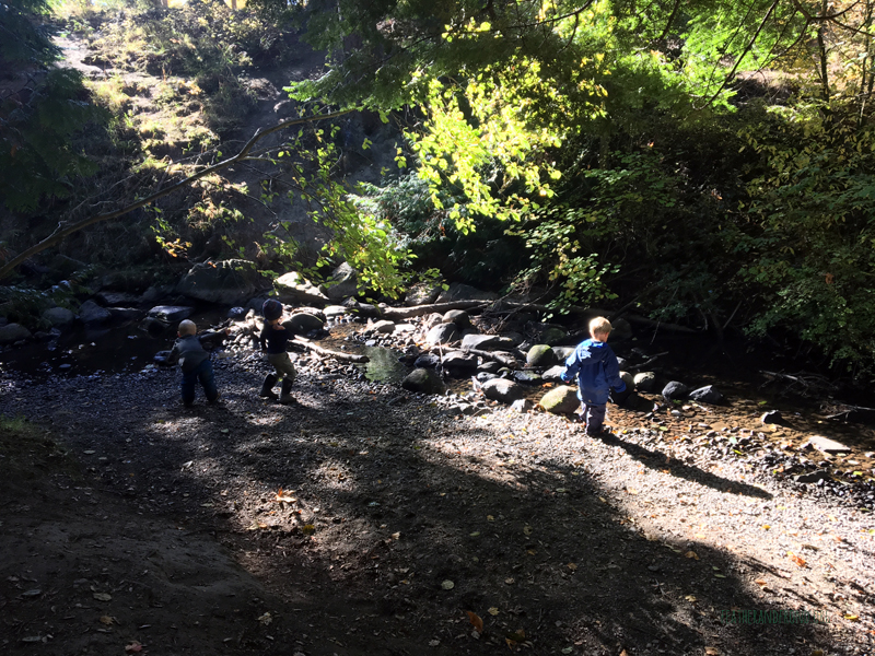 FoxWalkers-2019-Week6+7-Fairhaven-77.jpg