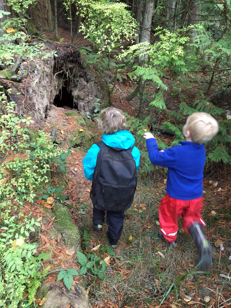 FoxWalkers-2019-Week6+7-Fairhaven-87.jpg