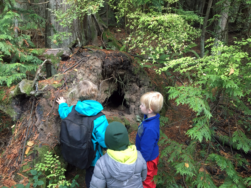 FoxWalkers-2019-Week6+7-Fairhaven-88.jpg