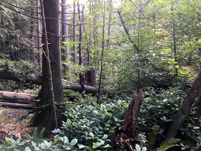 FoxWalkers-2019-Week6+7-Fairhaven-89.jpg