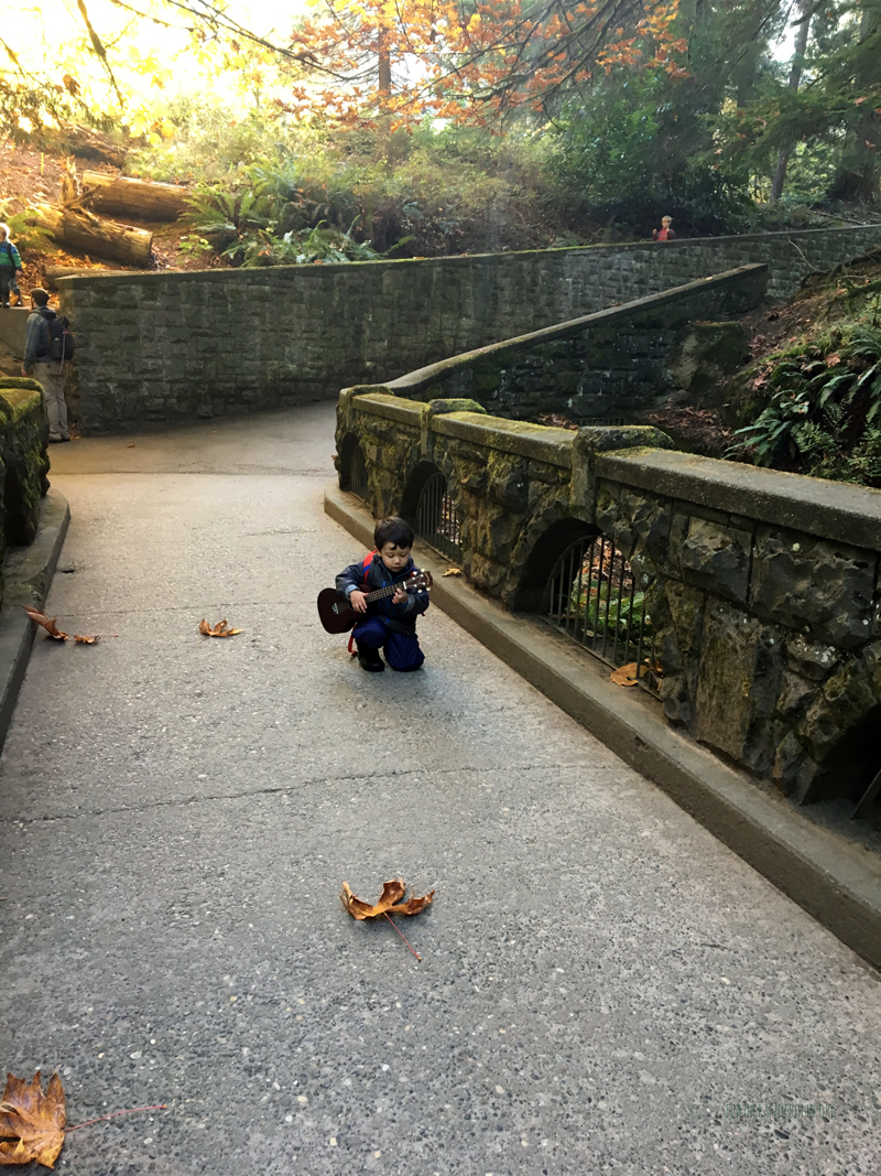 FoxWalkers-2019-Week6+7-Whatcom-04.jpg