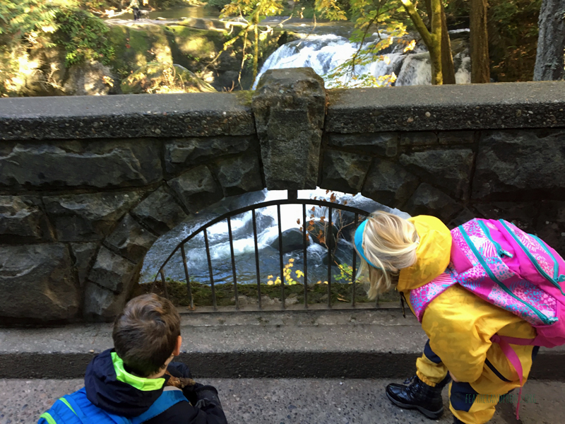 FoxWalkers-2019-Week6+7-Whatcom-05.jpg