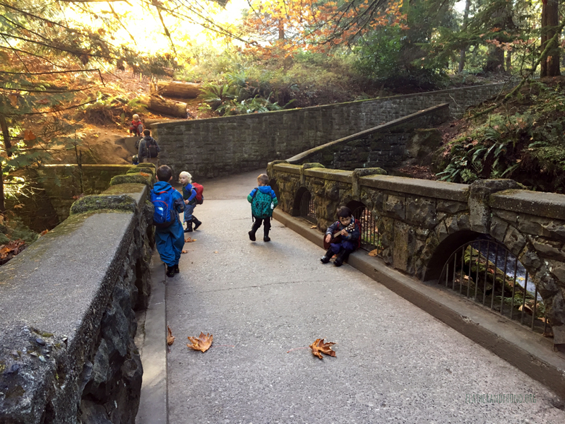 FoxWalkers-2019-Week6+7-Whatcom-06.jpg