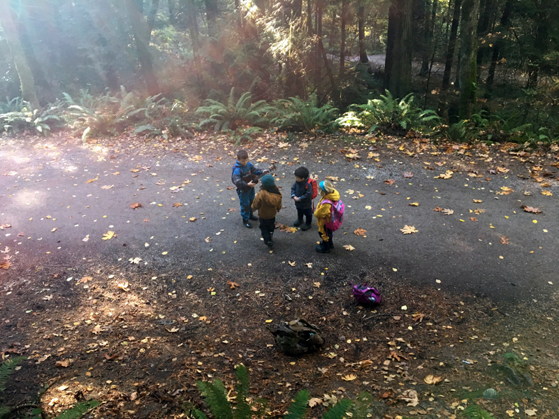FoxWalkers-2019-Week6+7-Whatcom-09.jpg