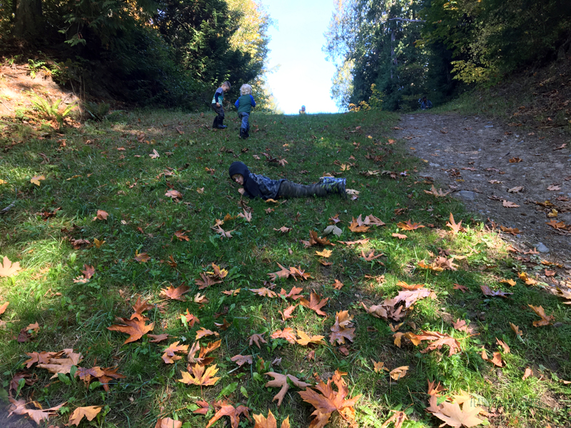 FoxWalkers-2019-Week6+7-Whatcom-12.jpg