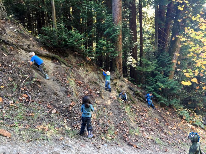 FoxWalkers-2019-Week6+7-Whatcom-15.jpg