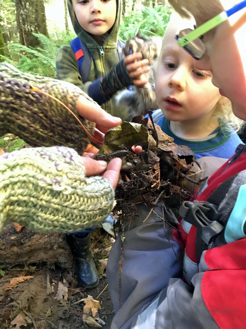 FoxWalkers-2019-Week6+7-Whatcom-24.jpg