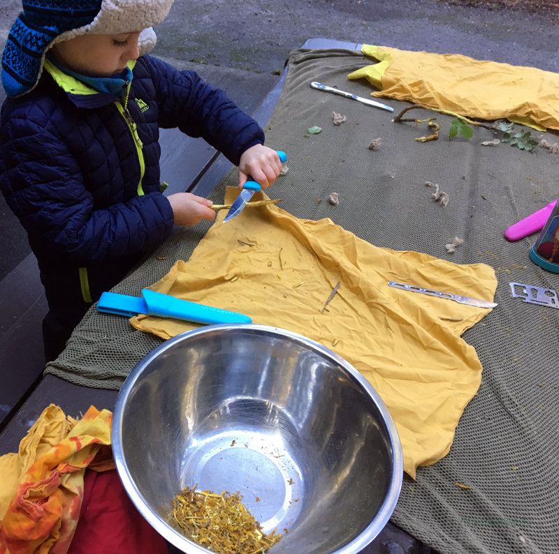 Carving OR Grape root for Hand Sanitizer
