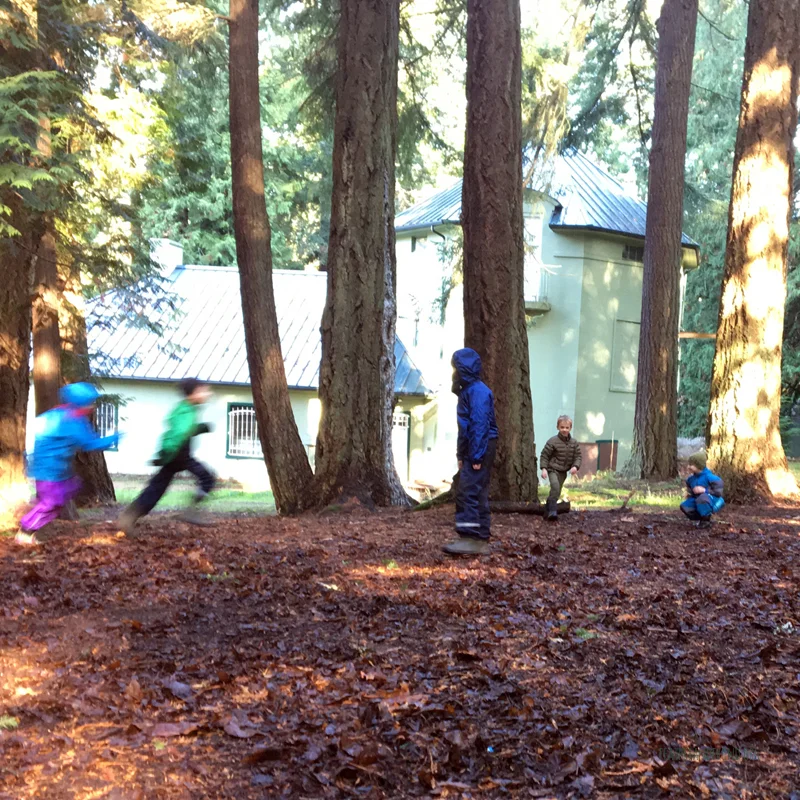 a much needed break -- MUSHROOM TAG!