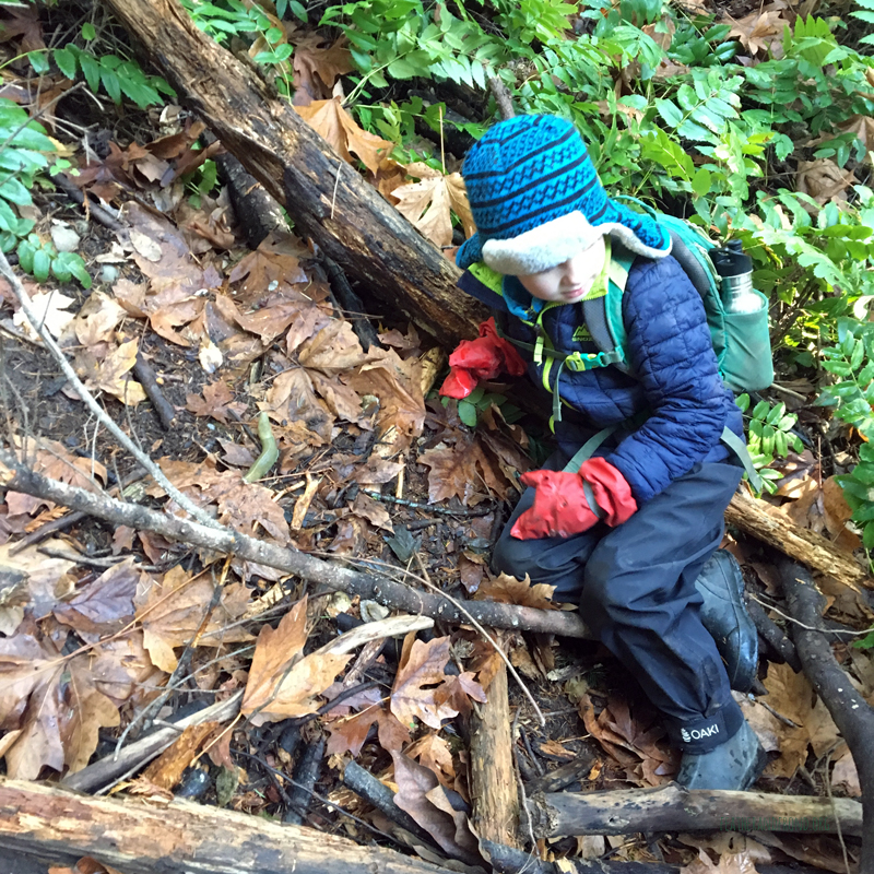 Banana Slug break