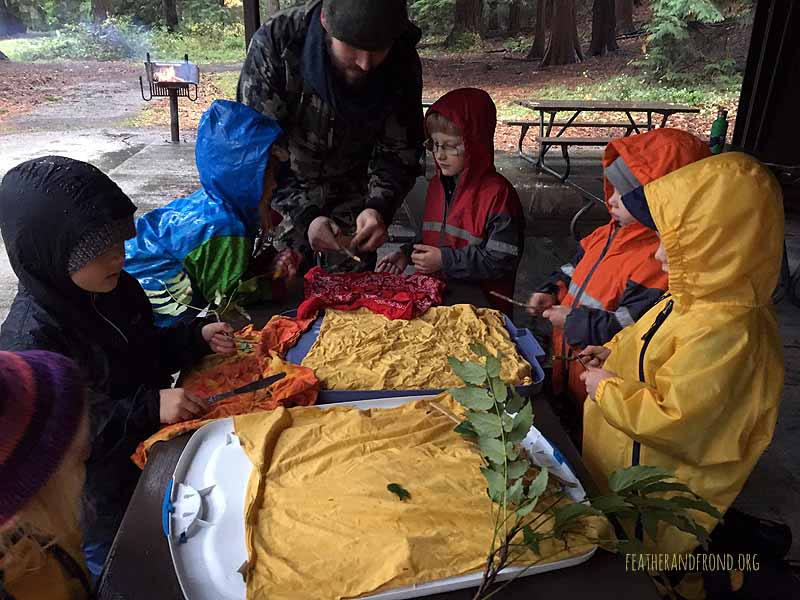 Processing Oregon Grape root