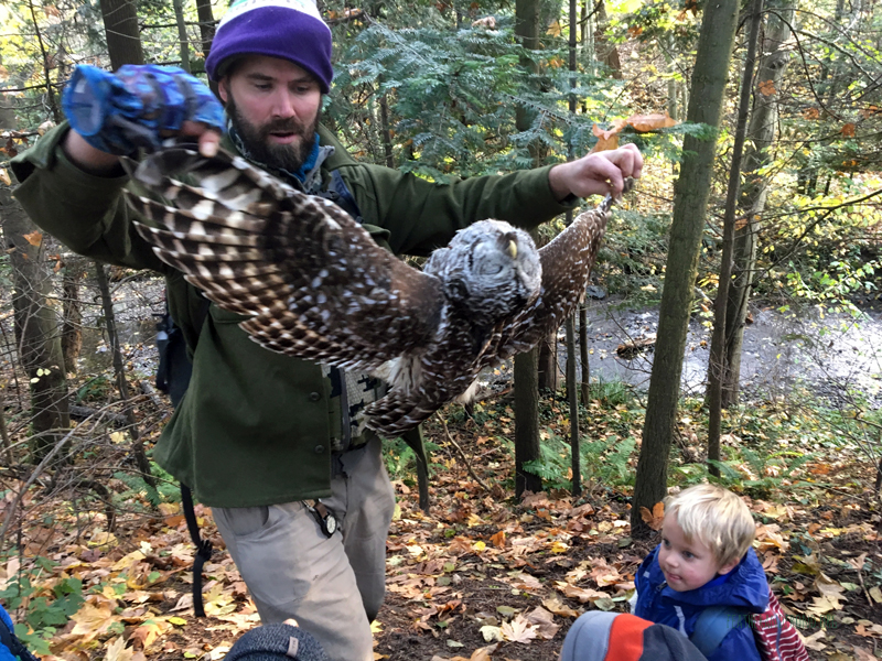 FoxWalkers-2019-Week10-11-Fairhaven06.jpg