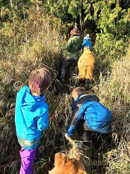 We love Magic Cattail Land!