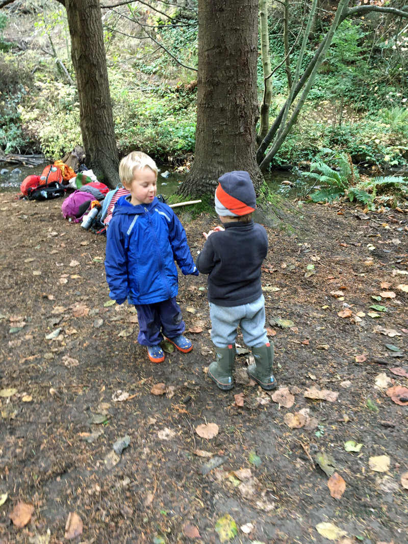 FoxWalkers-2019-Week10-11-Fairhaven30.jpg
