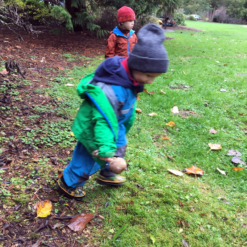 FoxWalkers-2019-Week10-11-Fairhaven42.jpg