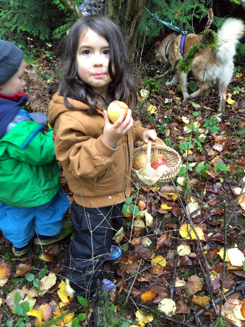 FoxWalkers-2019-Week10-11-Fairhaven45.jpg