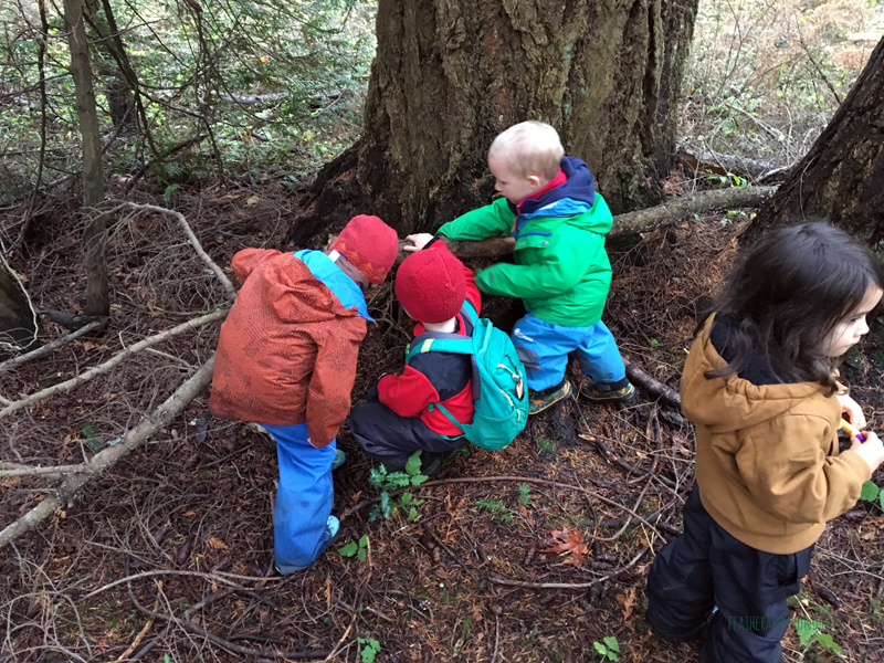 FoxWalkers-2019-Week10-11-Fairhaven47.jpg