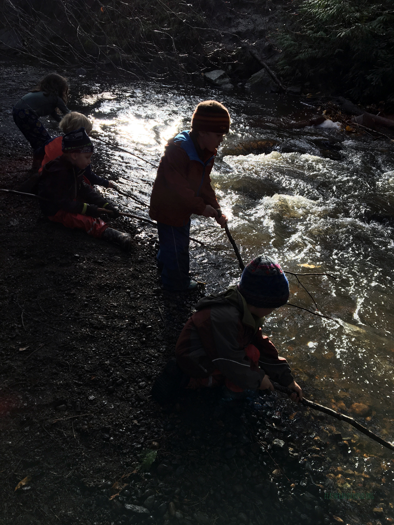 FoxWalkers-2019-Week10-11-Fairhaven50.jpg
