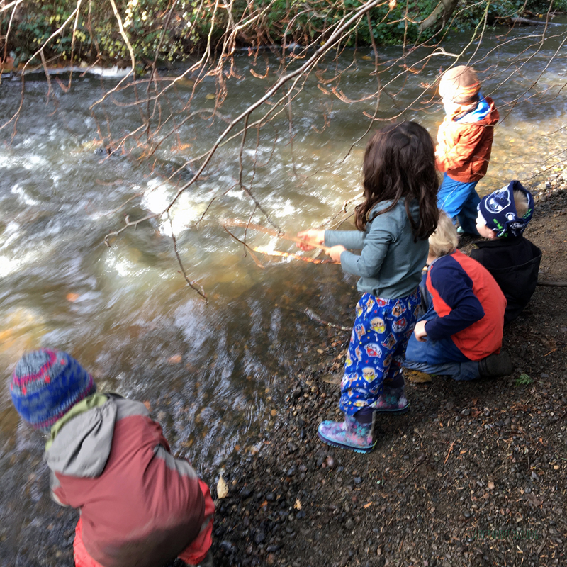 FoxWalkers-2019-Week10-11-Fairhaven51.jpg