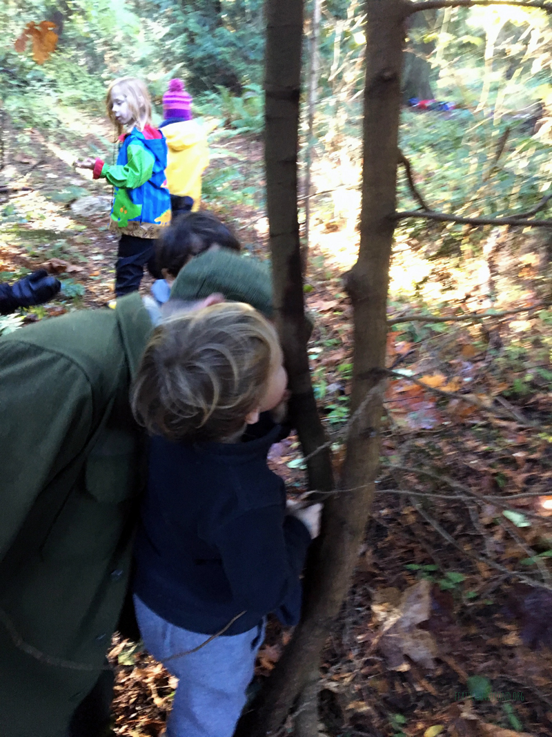 FoxWalkers-2019-Week10-11-Whatcom05.jpg