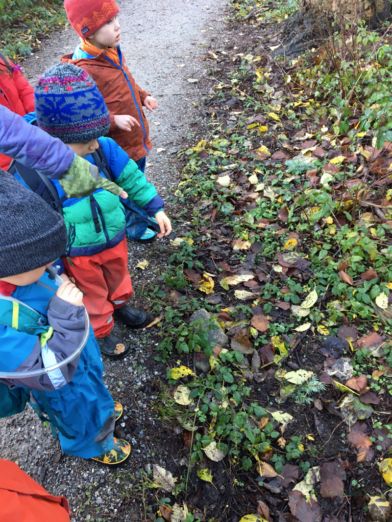 FoxWalkers-2019-Week10-11-Fairhaven59.jpg