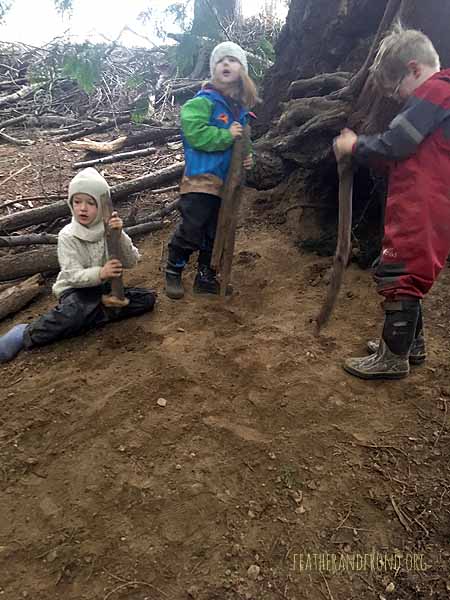 Digging in the fairy house zone..