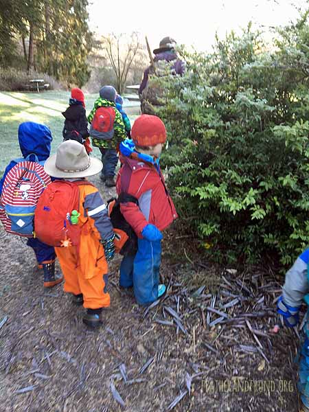 searching for frosty Evergreen Huckleberries