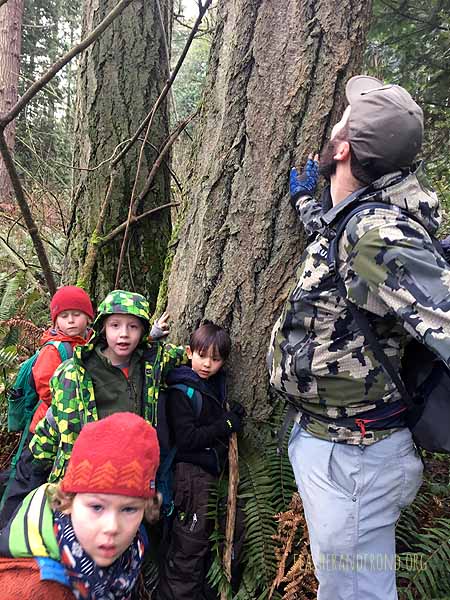 FoxWalkers-SOTD-Fairhaven-Week14-15-17.jpg