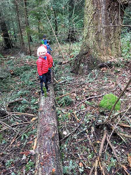 Hemlock highway!