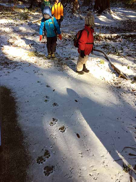 Following the otter trail!