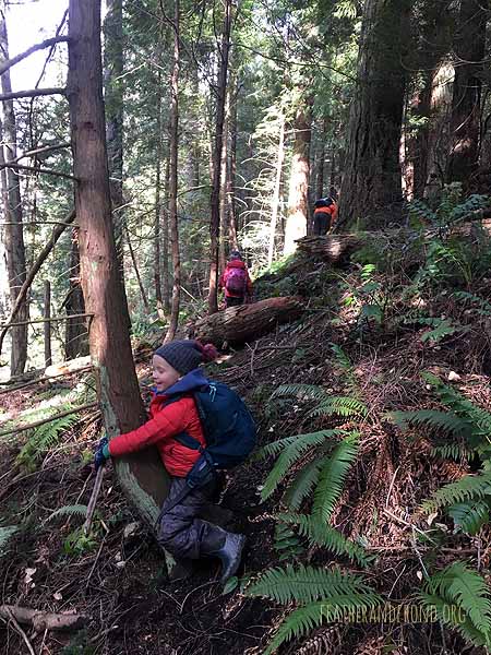SOTD-FoxWalkers-Whatcom-Weeks22-23-01.jpg