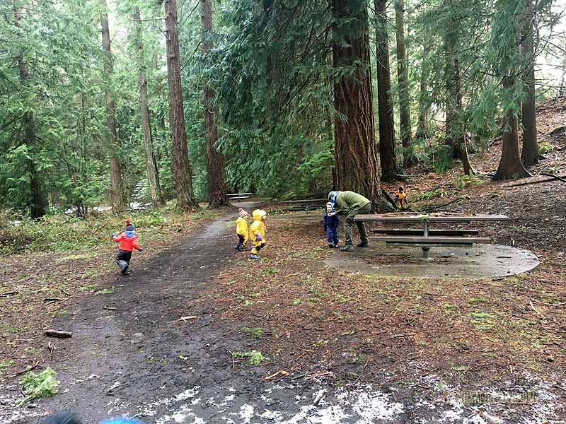 SOTD-FoxWalkers-Whatcom-Weeks22-23-12.jpg