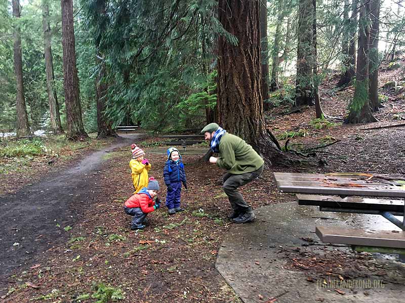 SOTD-FoxWalkers-Whatcom-Weeks22-23-13.jpg