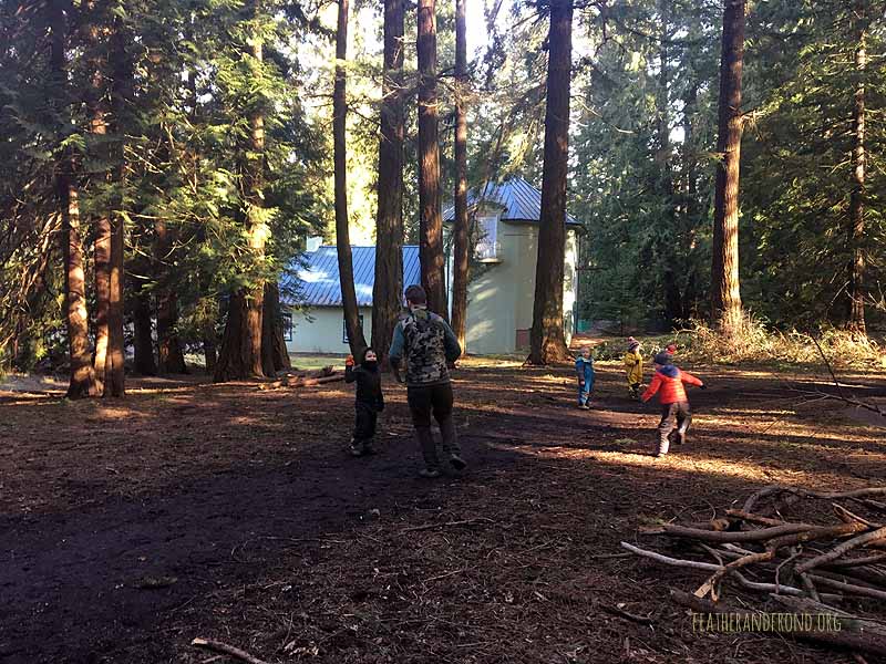 SOTD-FoxWalkers-Whatcom-Weeks22-23-30.jpg