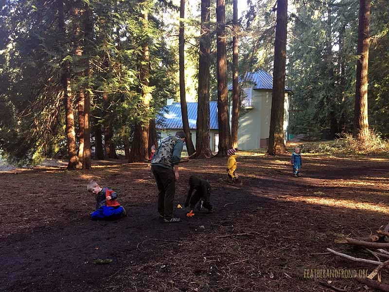 SOTD-FoxWalkers-Whatcom-Weeks22-23-32.jpg