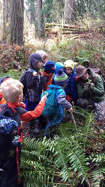 Getting to know Stinging Nettle!