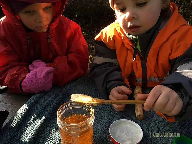 Making Oregon Grape Root Hand Sanitizer