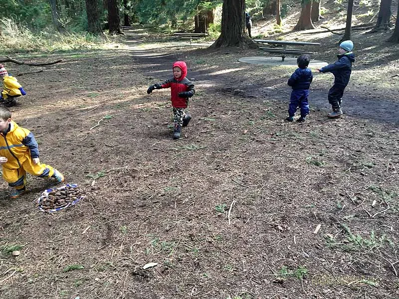 SOTD-FoxWalkers-Whatcom-Weeks24-25-15.jpg