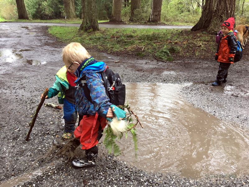 FoxWalkers-2019-Week26-27-Fairhaven-09.jpg
