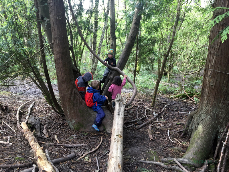 FoxWalkers-2019-Week26-27-Fairhaven-18.jpg