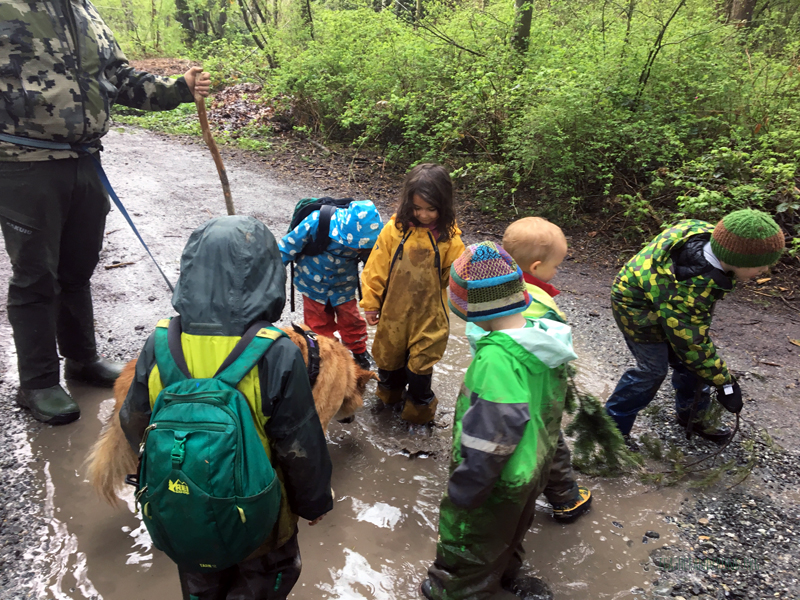 FoxWalkers-2019-Week26-27-Fairhaven-31.jpg